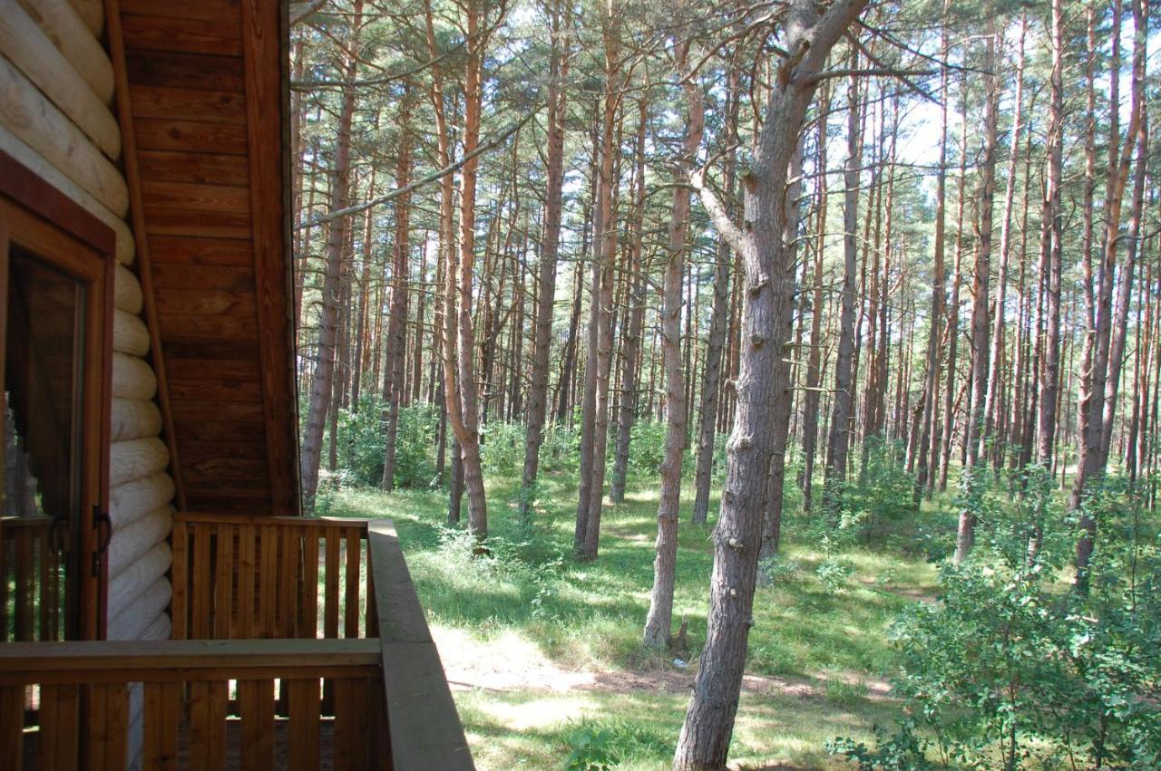 Edmundas Palanga Bagian luar foto