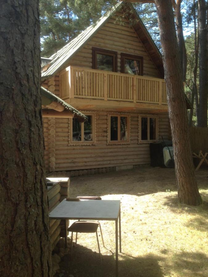 Edmundas Palanga Bagian luar foto